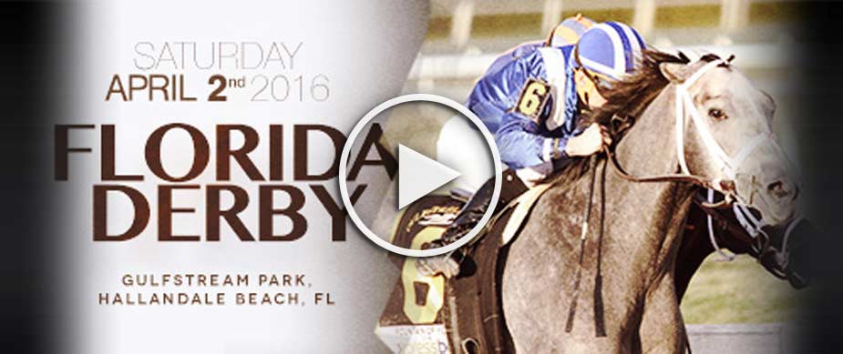 Watch Nyquist Win the 2016 Florida Derby