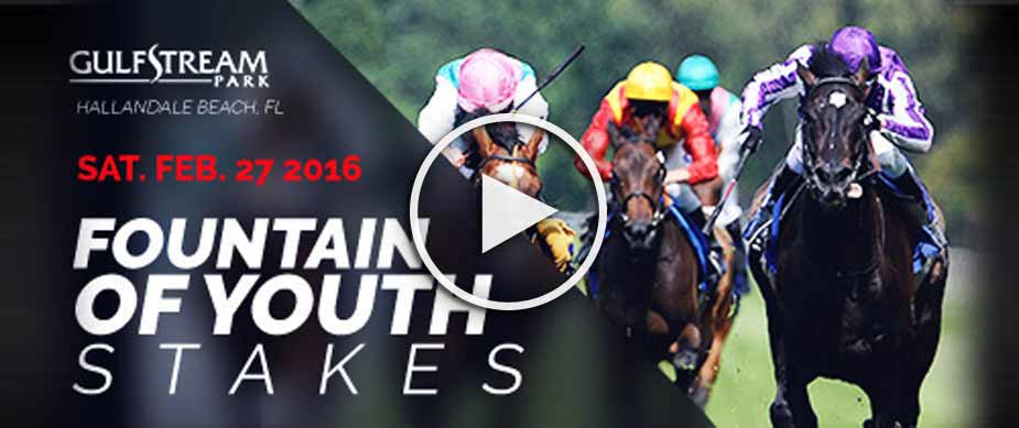 2016 Fountain of Youth Stakes Race Replay Mohaymen