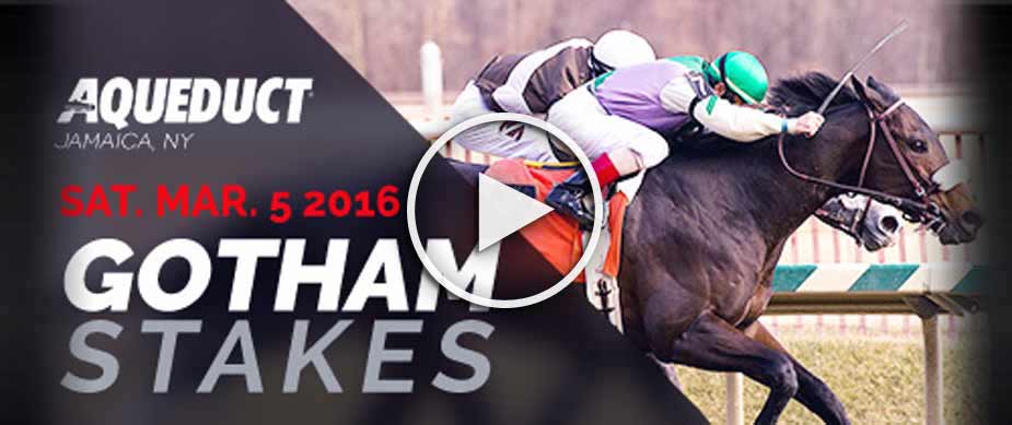 Shagaf Wins Gotham Stakes at Aqueduct Racetrack