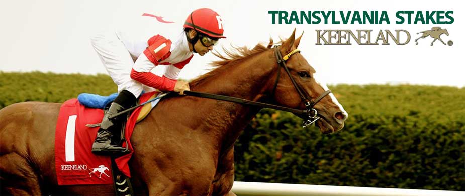 Watch the 2016 Transylvania Stakes at Keeneland