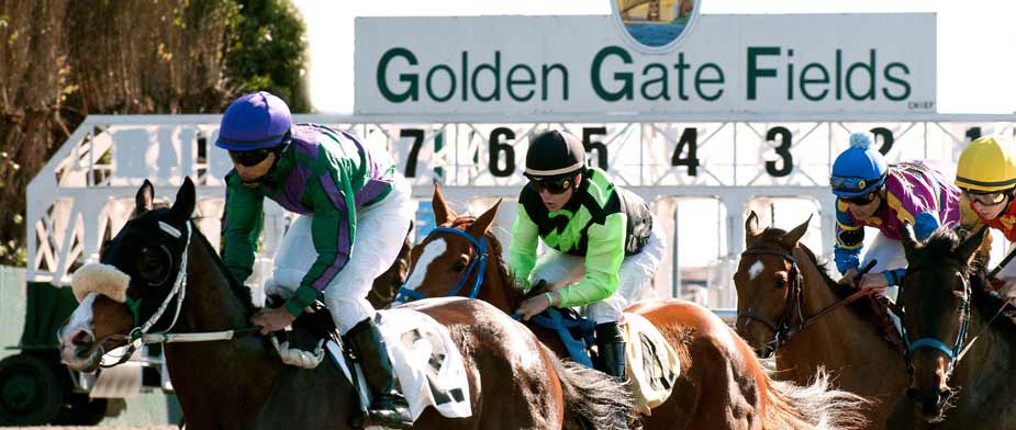 Bet Golden Gate Fields Horse Racing