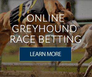 Greyhound Betting