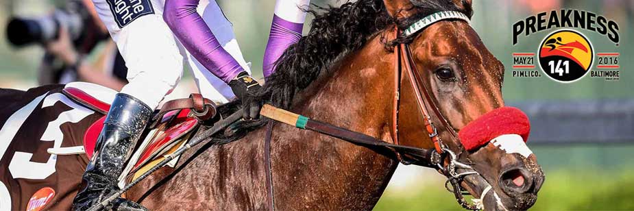 Bet Preakness Stakes Online