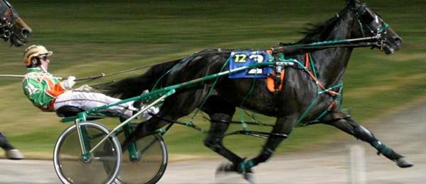 Harness Racing Betting Online