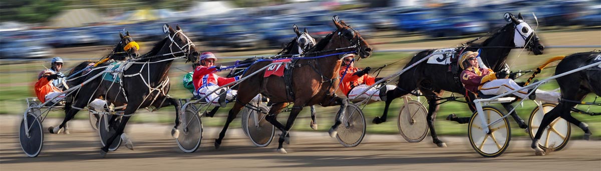 Bet on Harness Racing