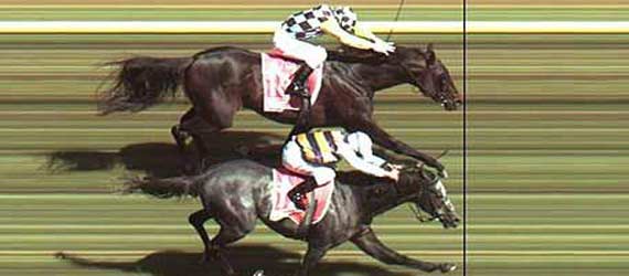 Horse Racing Results