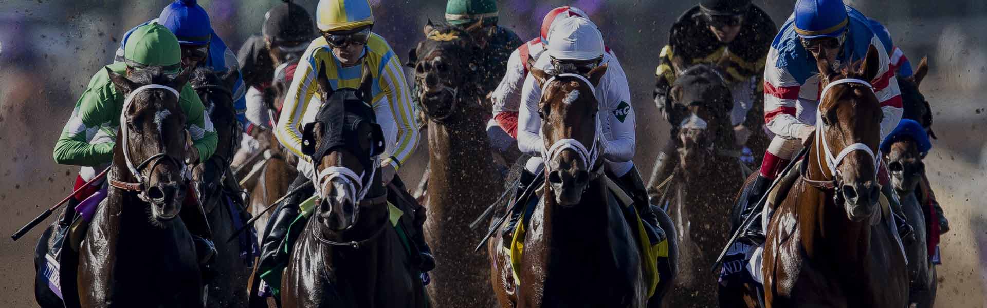 Bet Preakness Stakes
