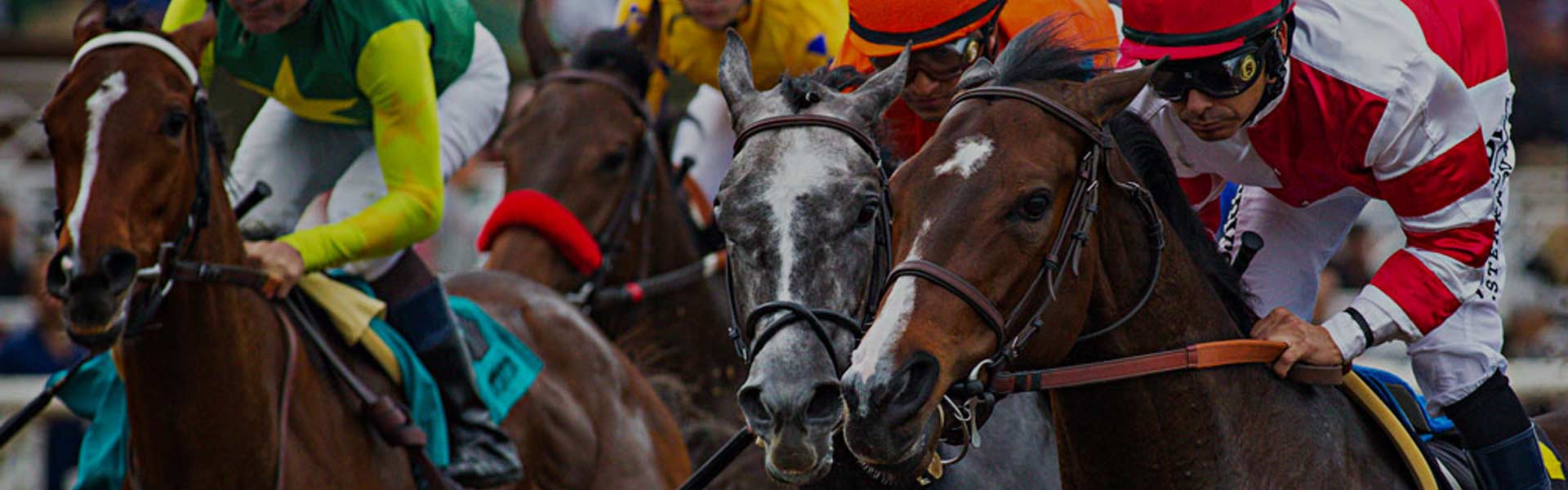 Bet Saratoga Horse Racing
