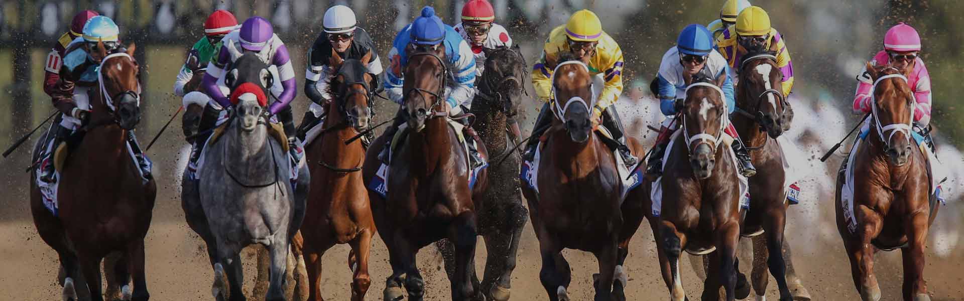 Bet Belmont Stakes