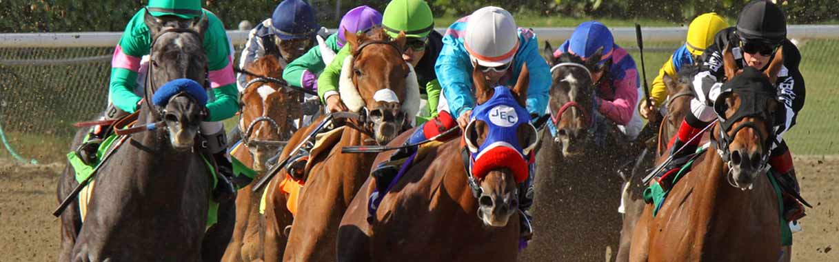 Horse Betting Online