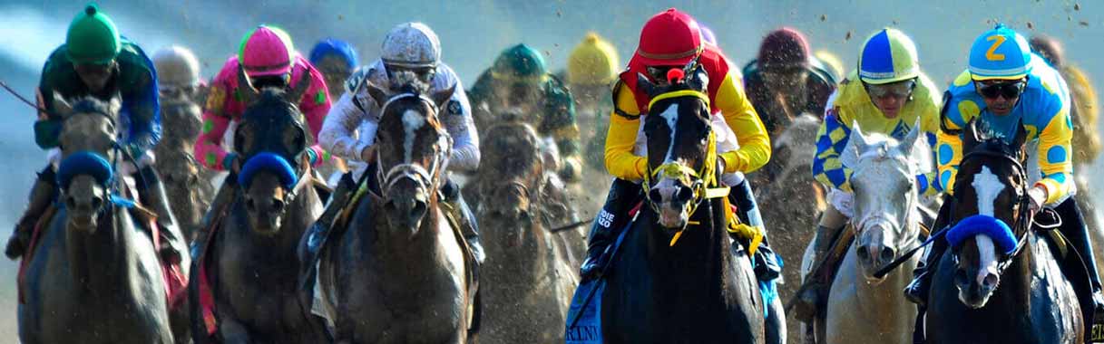 Horse Betting Online