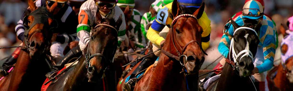 9++ Is horse betting legal in texas best tips 