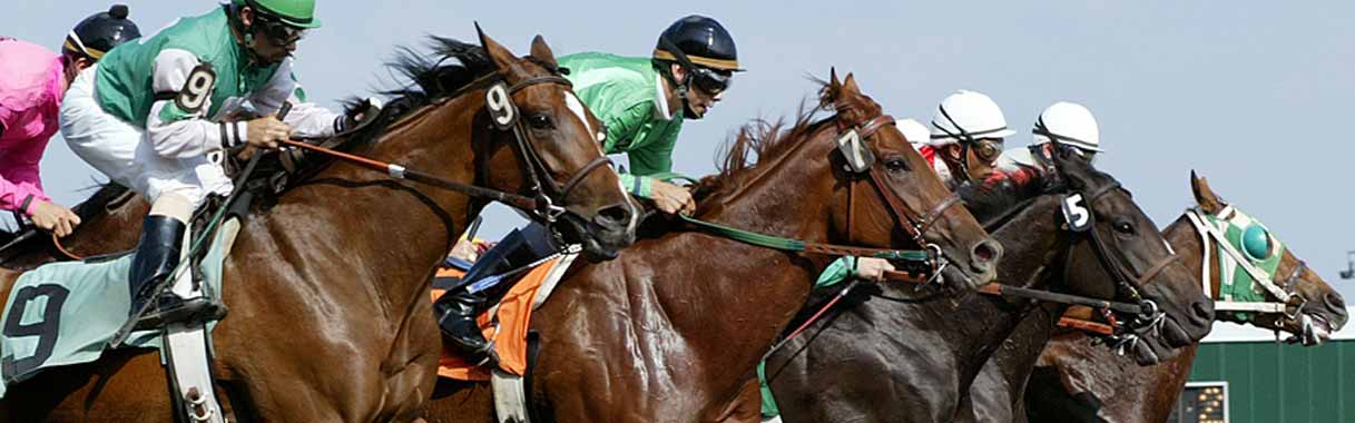 Horse Betting Online