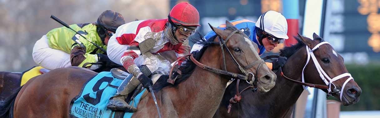 Horse Betting Online