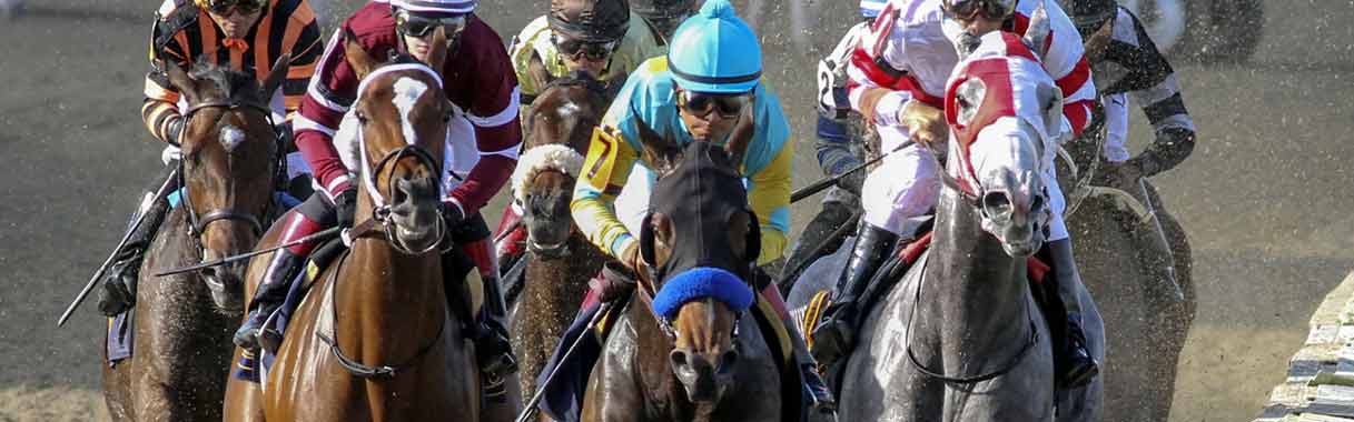 Horse Betting Online