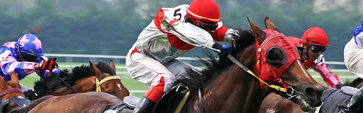 Horse Betting Online