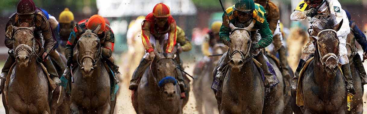 Horse Betting Online