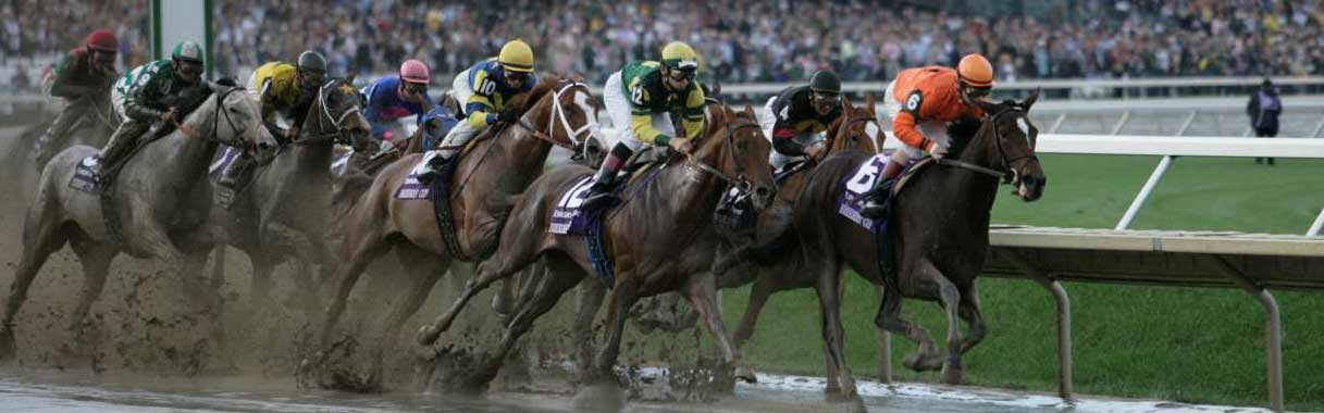 Horse Betting Online