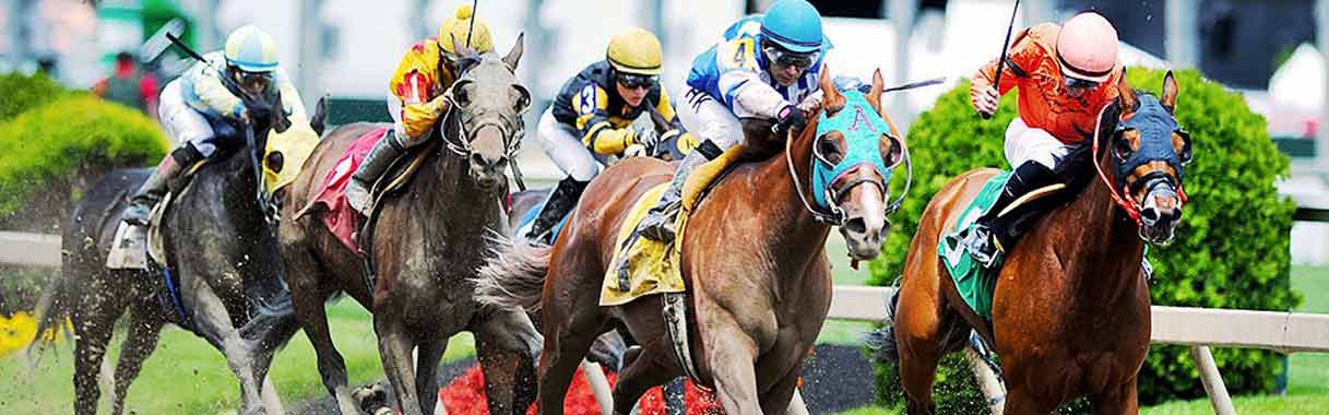 belmont park horse racing betting online
