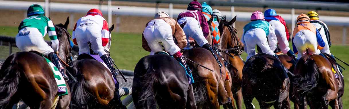 Horse Betting Online