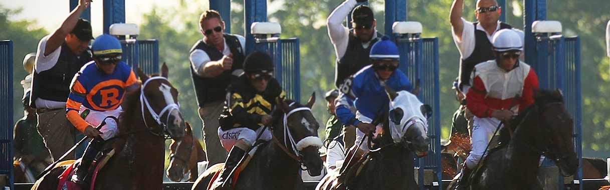 Horse Betting Online