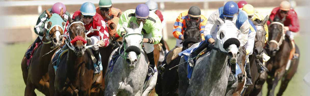 Horse Betting Online