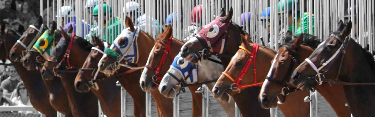 Horse Betting Online