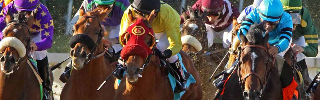 Horse Betting Online