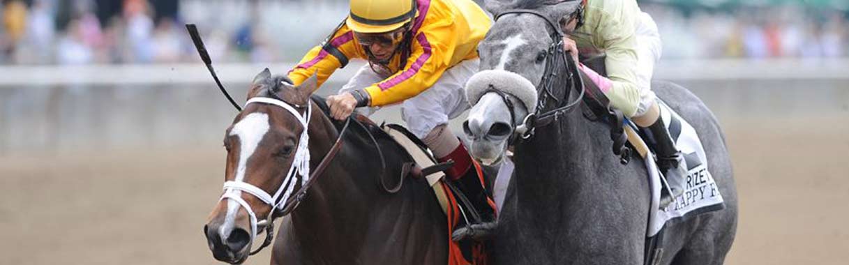 Horse Betting Online