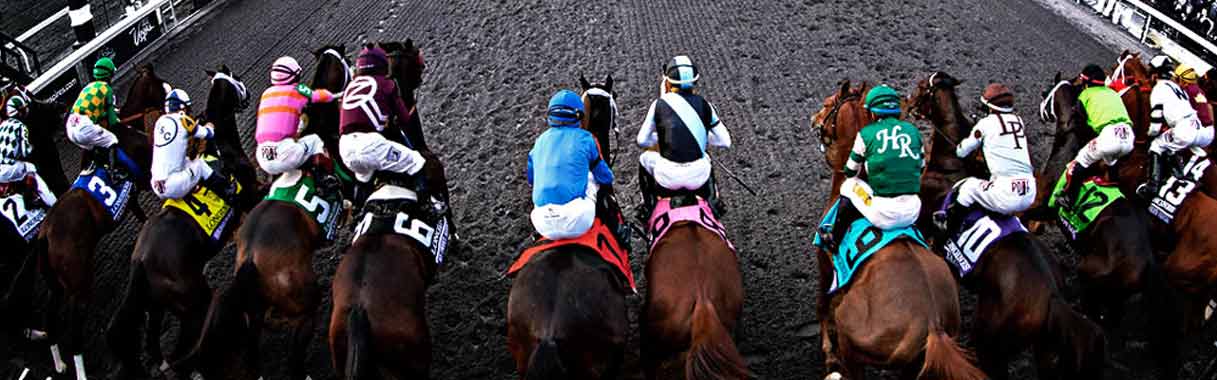 Horse Betting Online