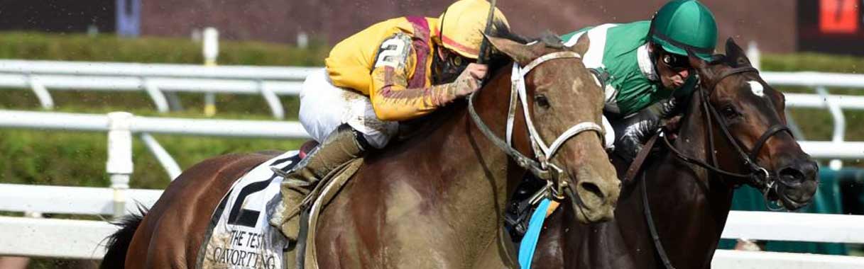 Horse Betting Online