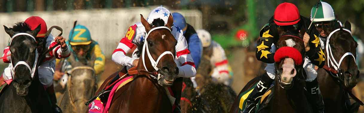 Horse Betting Online