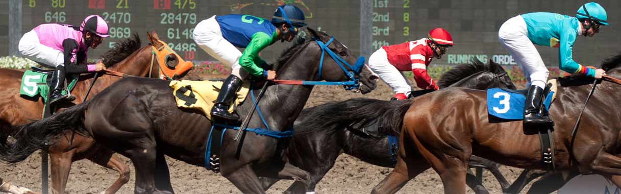 Horse Betting Online