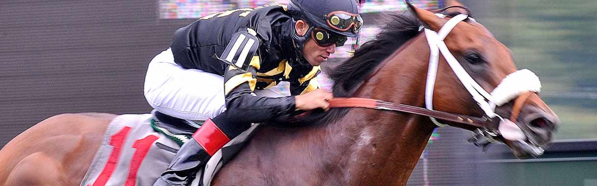 How to bet on horses santa anita briem